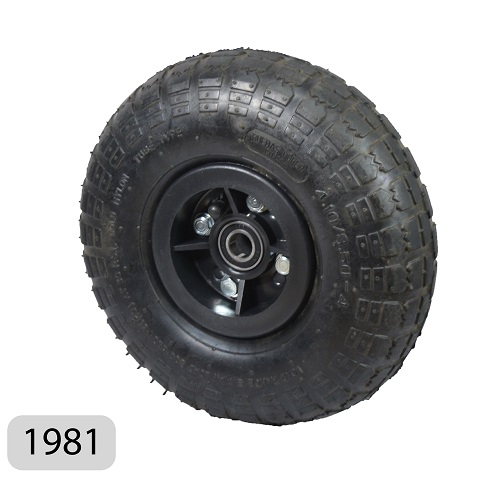 Art 1981