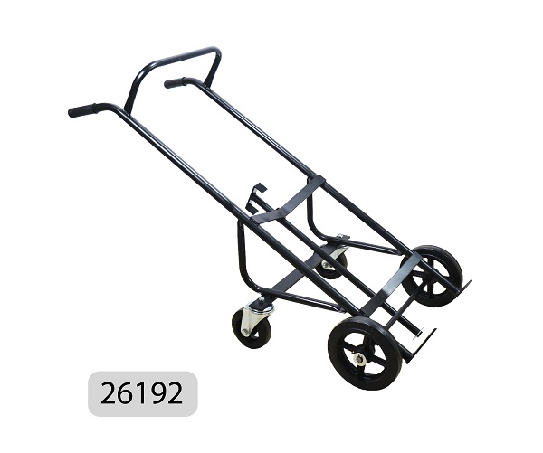 Art. 26192