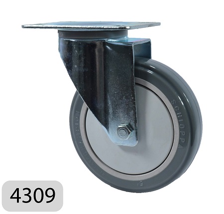 Art. 4309