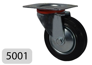 Art. 5001